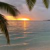 thiaemallen_524
