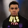 nlsftbl_