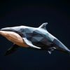 americanshark