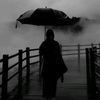 rvhvf_990