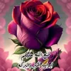 mohammadhassan67905