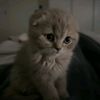 menli_28_07