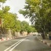 houssamhousam803