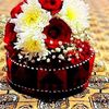 mustafaml66
