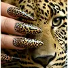 aseel99806