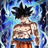yahel_741