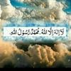 mdmizanurrahama878