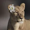 mimilail5