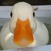 deinemuddaliebtmic