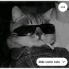 user45663694211123