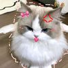 fahirasyahda_