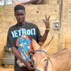 layebamba406