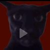 caseyw_136