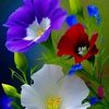 javed.shah860
