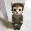 i.mmm.mau
