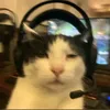 nyuclean_cat
