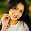 panh35516um