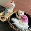 sweet.cats143