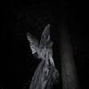 silver_._._