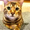 samuandjuly