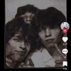 iha_s.19