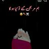 hifzafalak