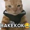 ketua.bibd2