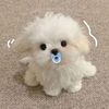 name_067s1