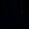 back_1241