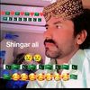 shingar.all