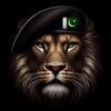 huzaifa.amir248
