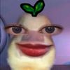 username_ptrii