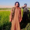 hafiz.badrudain