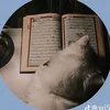 arij_a20