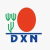dxn51673