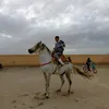 mehdicher77