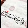 janaelghandour551