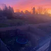 dianasz246