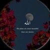 maryam63640