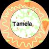 tammiedidi5