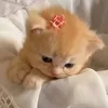 thng_sn27