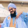 محمد بن علي الشنقيطي