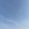 aziz305_0