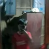 tretrauok2012