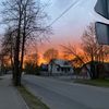 annijaozolia7