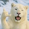 wak__garage77