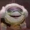 thehoneredmonkey