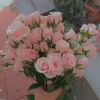 tania.sultana256