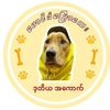 Mgkenpyaw ဒုတိယအကောက်