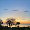 sayasiapa_651